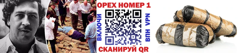 КОКАИН Эквадор  Темников 
