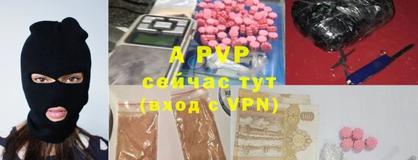 спайс Баксан