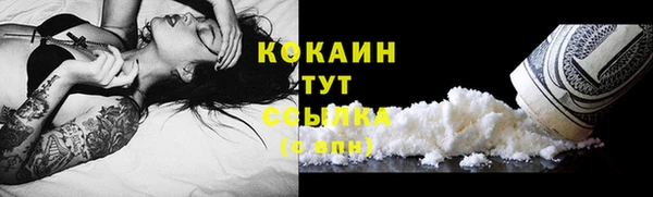 спайс Баксан