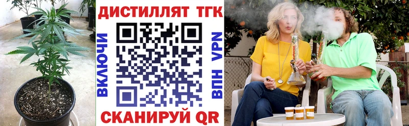 Дистиллят ТГК THC oil  MEGA зеркало  Темников  купить наркоту 